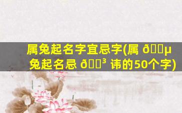 属兔起名字宜忌字(属 🌵 兔起名忌 🐳 讳的50个字)